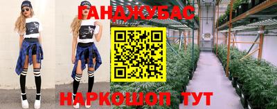 стаф Краснодар