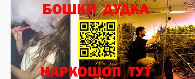 стаф Краснодар