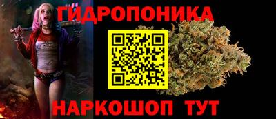 стаф Краснодар